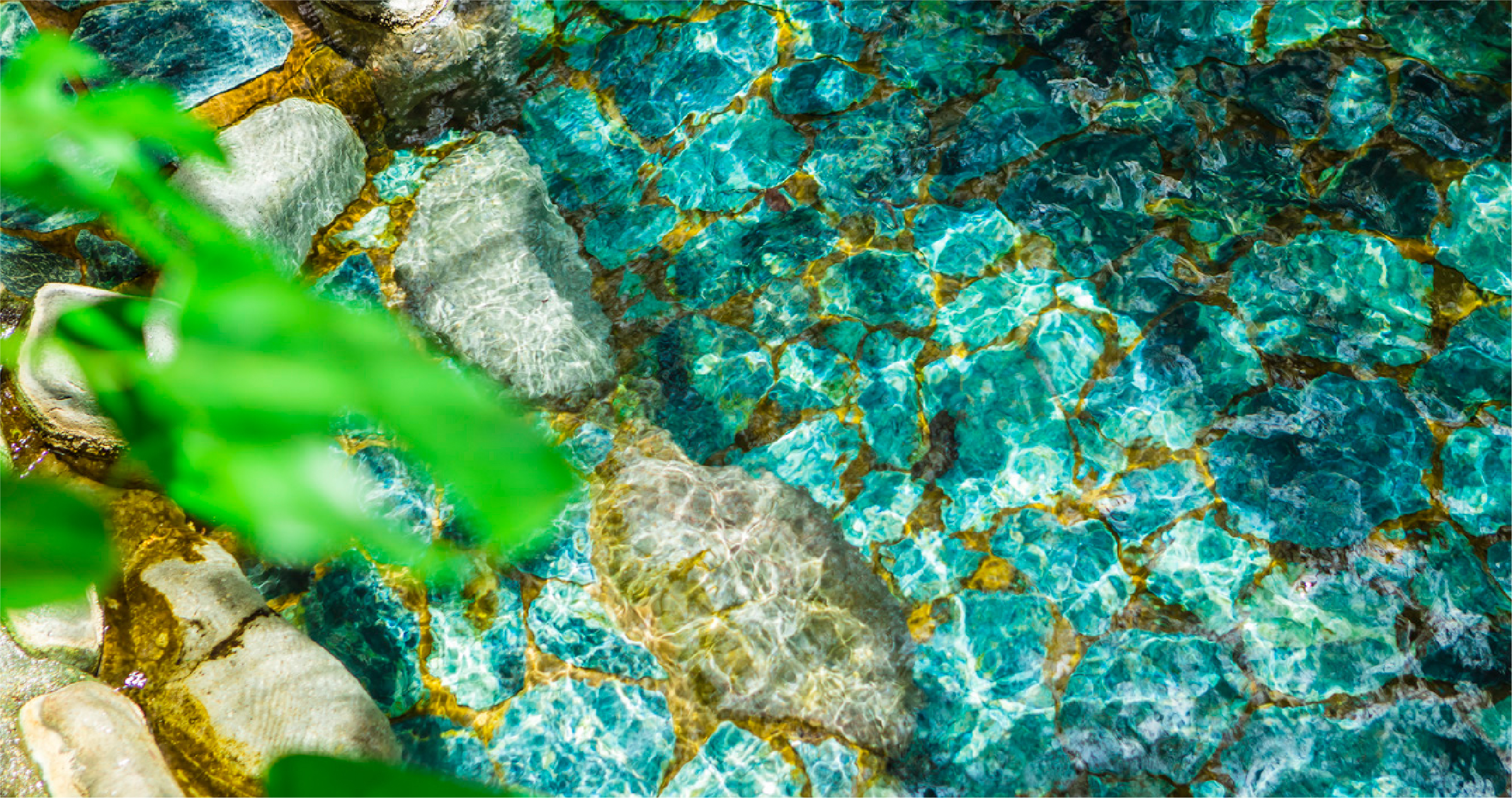 貸切露天風呂「南国野天風呂」